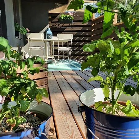 Studiohuoneisto Lohjan Keskusta 2 Lohja