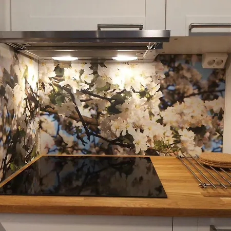 Studiohuoneisto Lohjan Keskusta 2 * Lohja