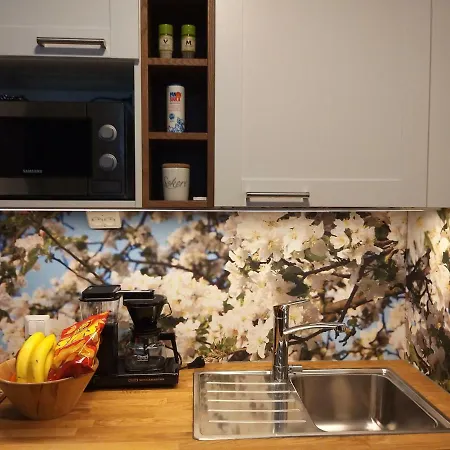 Studiohuoneisto Lohjan Keskusta 2 公寓 *